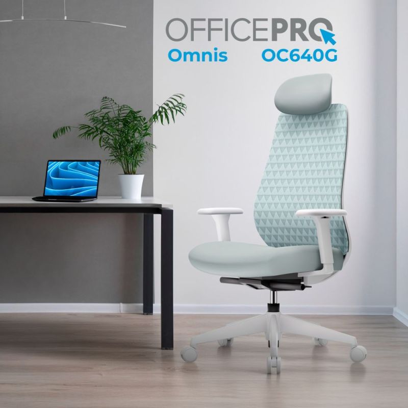 Крісло офісне OfficePro Omnis (OC640G)