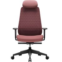 Крісло офісне OfficePro Omnis (OC640R)