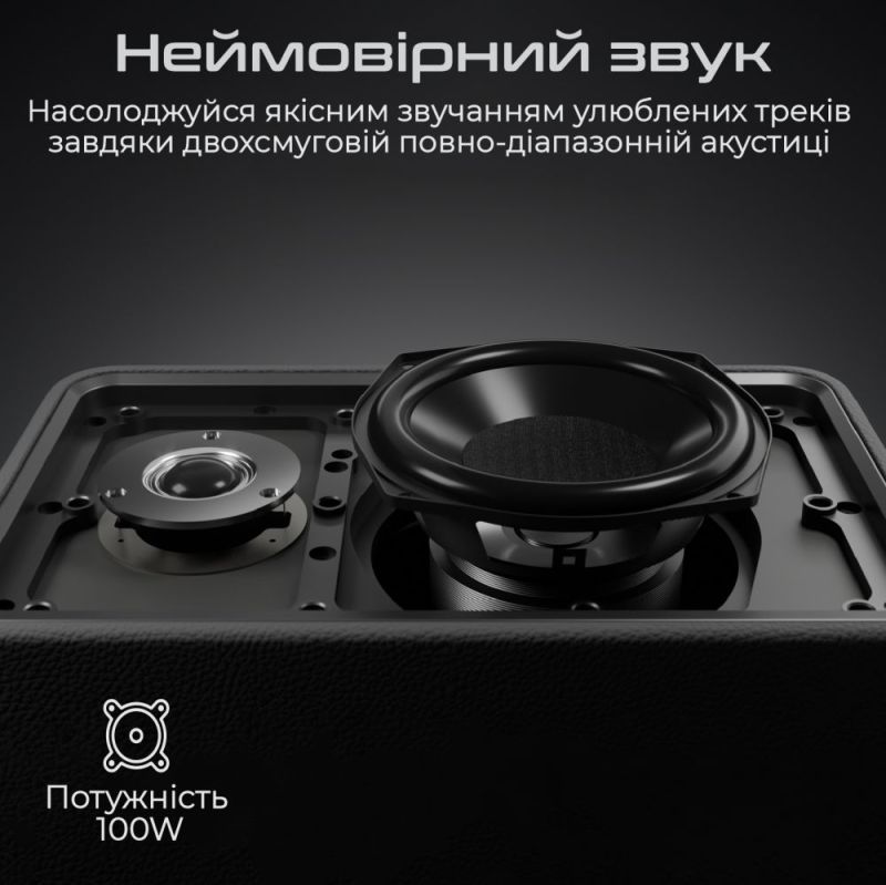 Акустическая система HiFuture Passion X Black (passion-x.black)