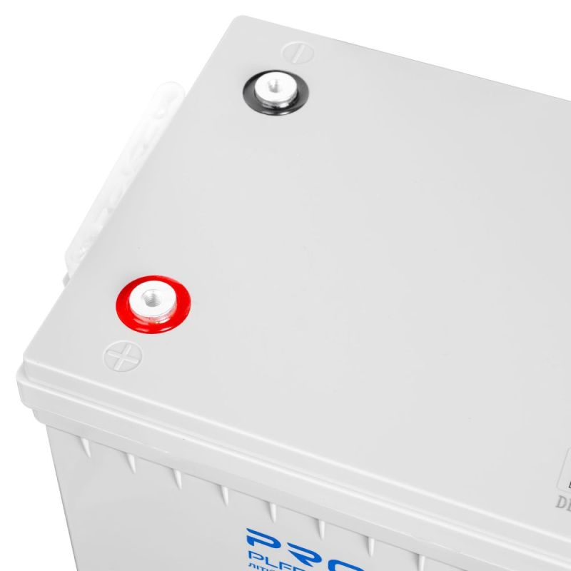 Акумуляторна батарея Prologix 25.6V 100AH 2560Wh LiFePO4 (PLFP24-100)