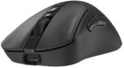 Миша бездротова Bloody R73 Ultra Black  (R73 Ultra (Black))