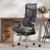 Кресло офисное Sihoo Doro S100 Mesh Black (S100-M301)