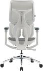 Крісло офісне Sihoo Doro S100 Mesh White (S100-M302)