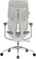 Крісло офісне Sihoo Doro S100 Mesh White (S100-M302)