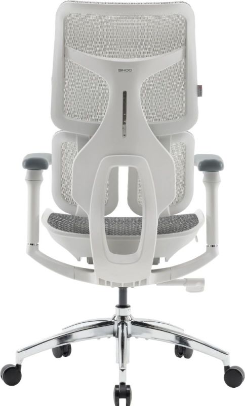 Крісло офісне Sihoo Doro S100 Mesh White (S100-M302)