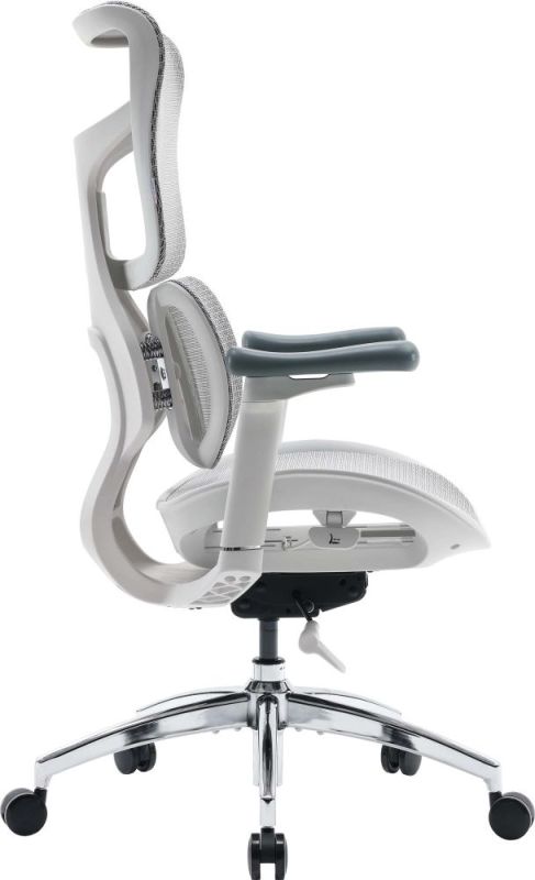 Кресло офисное Sihoo Doro S100 Mesh White (S100-M302)