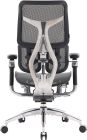 Крісло офісне Sihoo Doro S300 Mesh Dark Grey (S300-M201)