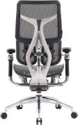 Крісло офісне Sihoo Doro S300 Mesh Dark Grey (S300-M201)
