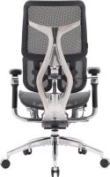 Крісло офісне Sihoo Doro S300 Mesh Dark Grey (S300-M201)