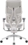 Крісло офісне Sihoo Doro S300 Mesh Light Grey (S300-M202)