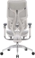 Крісло офісне Sihoo Doro S300 Mesh Light Grey (S300-M202)