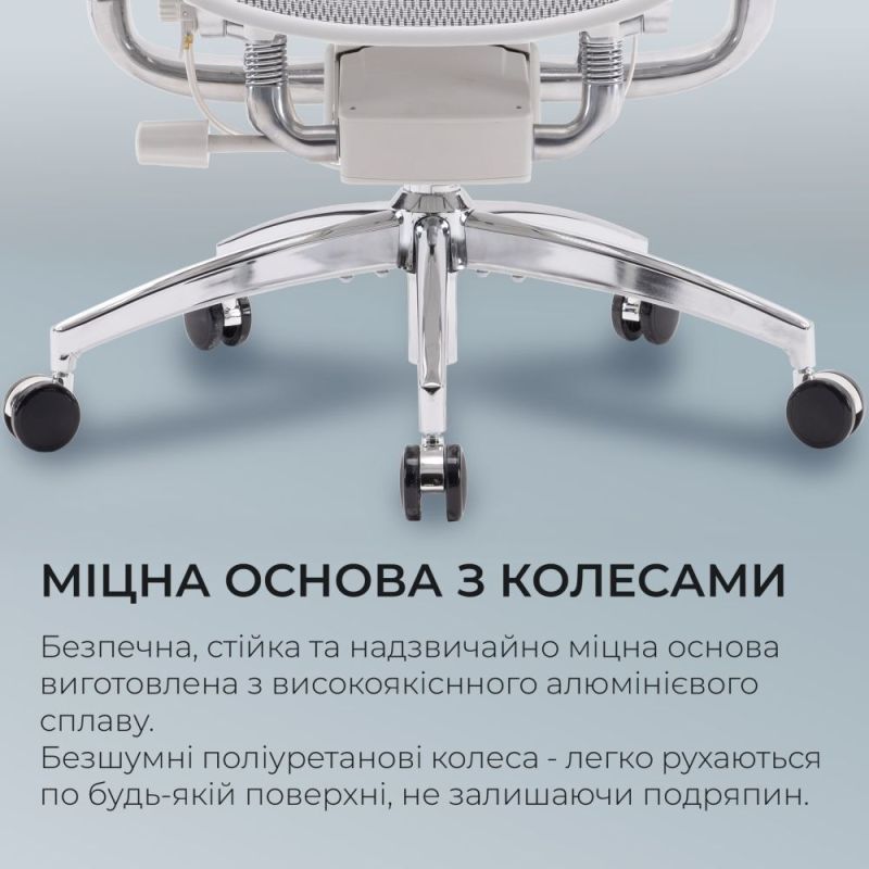 Кресло офисное Sihoo Doro S300 Mesh Light Grey (S300-M202)