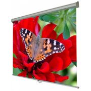 Экран настенный ручной Walfix 150" (229х305, 4:3) (SNM-5)
