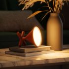 Настольная лампа Nanoleaf Umbra Cono, RGBW, Apple HomeKit, Matter Brown (SQUB01O00-1Co)
