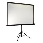 Екран мобільний Elite Screens 120" з треногою (T120NWV1)