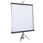 Проекционный экран Atria 120" (244x183, 4:3) (TRM-NTSC-120D)