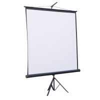 Проекційний екран Atria 120" (244x183, 4:3) (TRM-NTSC-120D)