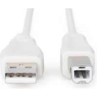 Кабель для принтера USB 2.0 AM/BM 3.0m Digitus (AK-300102-030-E)