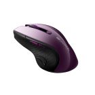Мишка Canyon Wireless Purple/Black (CNS-CMSW01P)