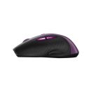 Мишка Canyon Wireless Purple/Black (CNS-CMSW01P)