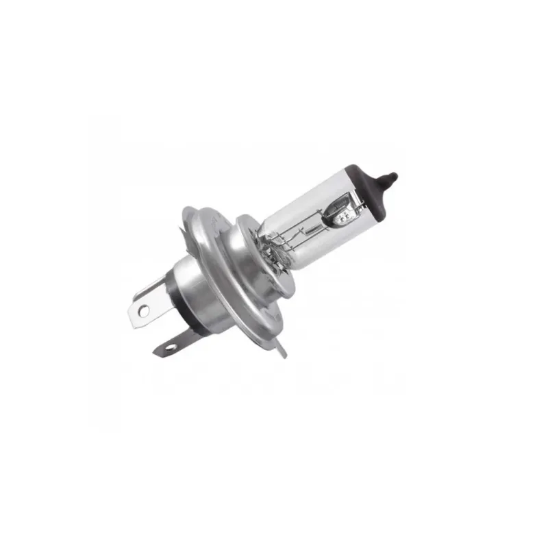 Автолампа Bosch галогенова 60/55W (1 987 302 803)