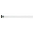 Лампочка Philips TL Mini 4W/33-640 FAM/10X25BOX (928000003340)