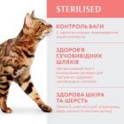 Сухой корм для кошек Optimeal для стерилизованных/кастрированных с говядиной и сорго 4 кг (4820215364348)