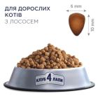 Сухой корм для кошек Club 4 Paws Премиум. С лососем 14 кг (4820083909238)