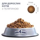 Сухой корм для кошек Club 4 Paws Премиум. С телятиной 14 кг (4820083909207)