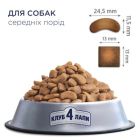 Сухий корм для собак Club 4 Paws Преміум. Для середніх порід 14 кг(П) (4820215366328)