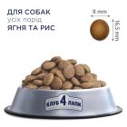 Сухой корм для собак Club 4 Paws Премиум. Ягненок и рис 14 кг (4820083909573)