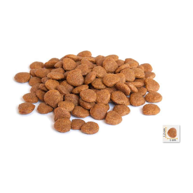 Сухий корм для кішок BonaCibo Adult Cat Light&Sterilized 2 кг (8694686406137)
