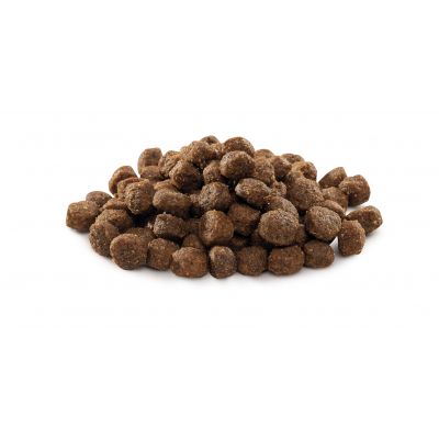 Сухий корм для собак Brit Premium Dog Adult S 3 кг (8595602526291)