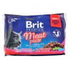 Влажный корм для кошек Brit Premium Cat мясная тарелка 4 шт по 100 г (8595602506262)