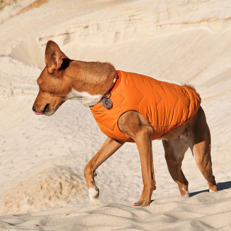 Жилет для животных Pet Fashion "E.Vest" М оранжевый (4823082424313)