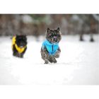 Курточка для животных Collar AiryVest "Colors of freedom" XS 25 (4440-4020)