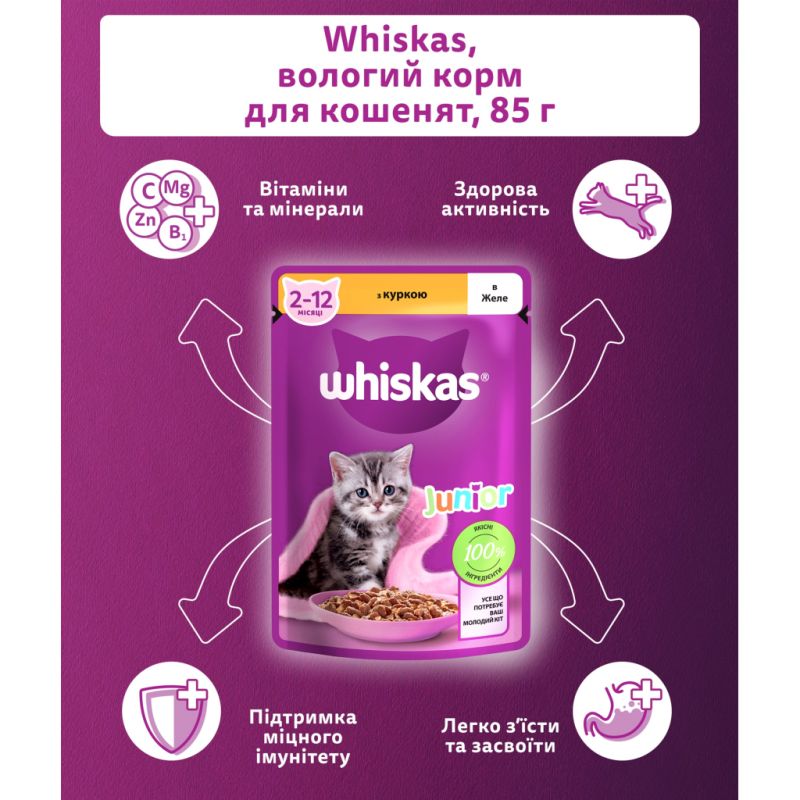 Вологий корм для кішок Whiskas Kitten Курка в желе 85 г (5900951302152)