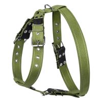 Шлей для собак Collar для больших собак N3 72-94 см зеленая (0647)