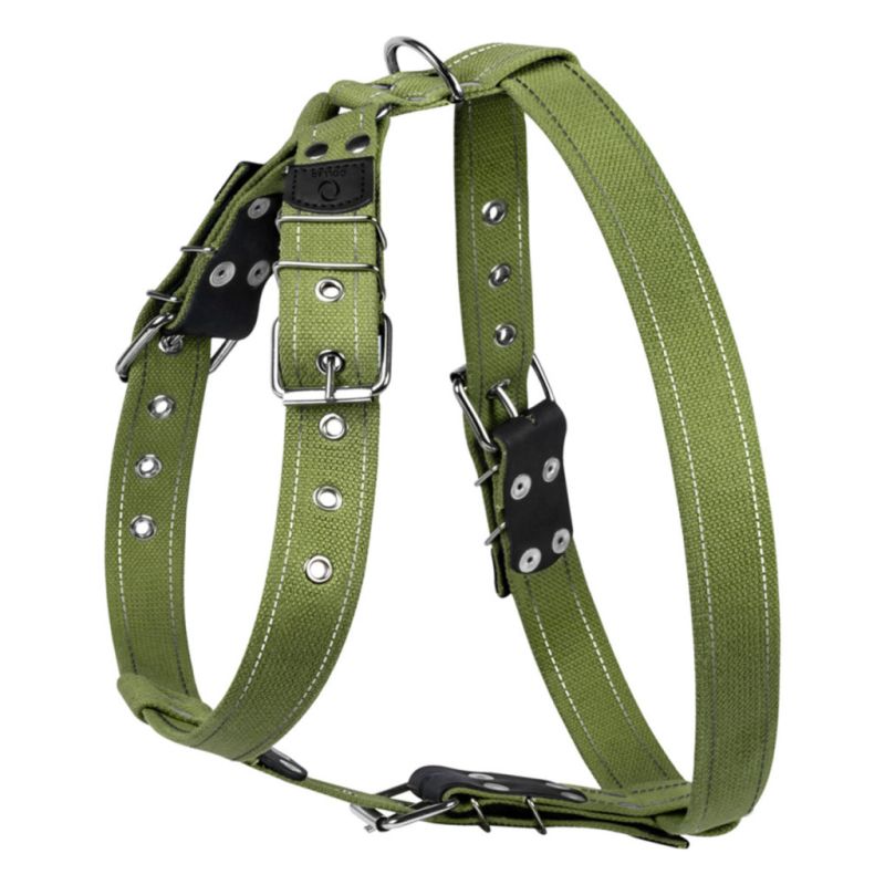 Шлей для собак Collar для больших собак N3 72-94 см зеленая (0647)
