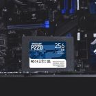 Накопитель SSD 2.5" 256GB P220 Patriot (P220S256G25)