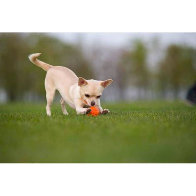 Игрушка для собак Liker Мячик 7 см (6294)