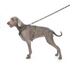 Шлей для собак WAUDOG Nylon с QR паспортом анатомическая H-образная "Калина" L (5160-0228)