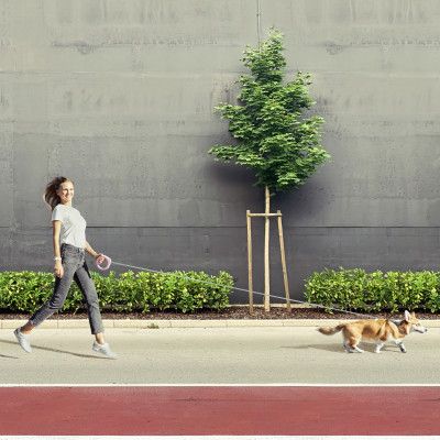 Повідець для собак WAUDOG R-leash світловідбиваюча стрічка XS-M до 40 кг 2.9 м рожевий (81277)