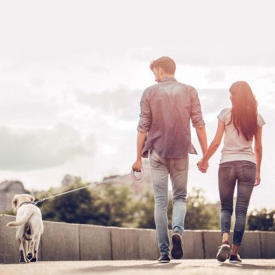 Повідець для собак WAUDOG R-leash світловідбиваюча стрічка XS-M до 40 кг 2.9 м рожевий (81277)