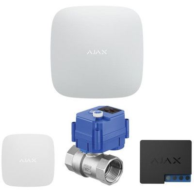 Комплект охранной сигнализации Ajax (AHWL2E3.4220V)