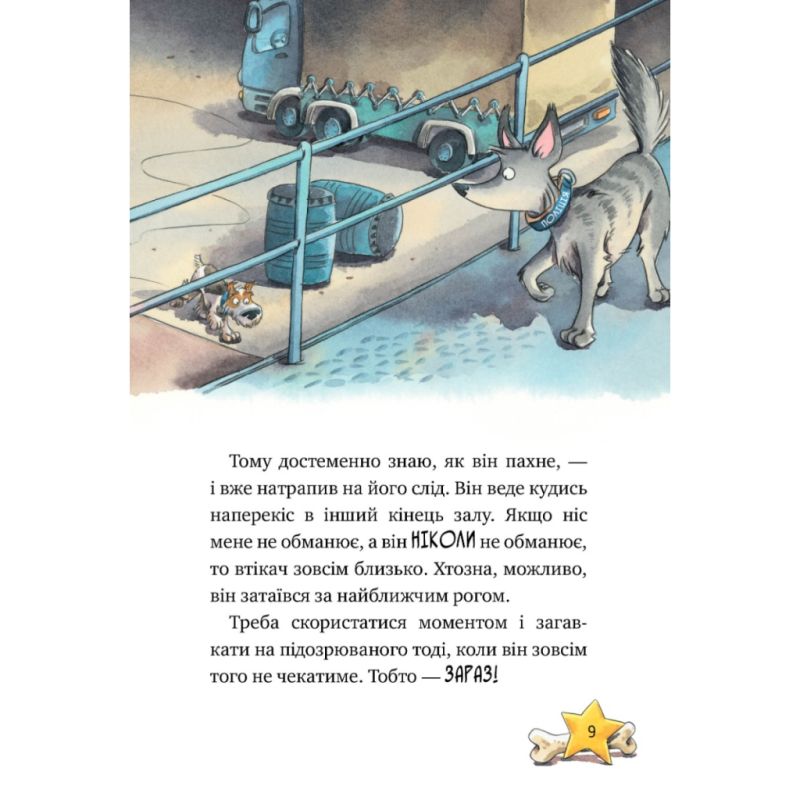 Книга Інспектор Лап. Услід за викрадачкою діамантів. Книга 2 - Катя Райдер Видавництво РМ (9786178280666)