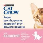 Вологий корм для кішок Purina Cat Chow Kitten з індичкою та цукіні в желе 85г (7613036595001)