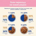 Вологий корм для кішок Purina Cat Chow Kitten з індичкою та цукіні в желе 85г (7613036595001)