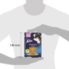 Вологий корм для кішок Purina Felix Fantastic Junior з куркою в желе 85 г (7613039832189) (26 шт)