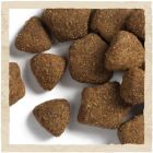 Сухой корм для собак Purina Dog Chow Adult Lamb со вкусом ягненка 14 кг (7613034487636)